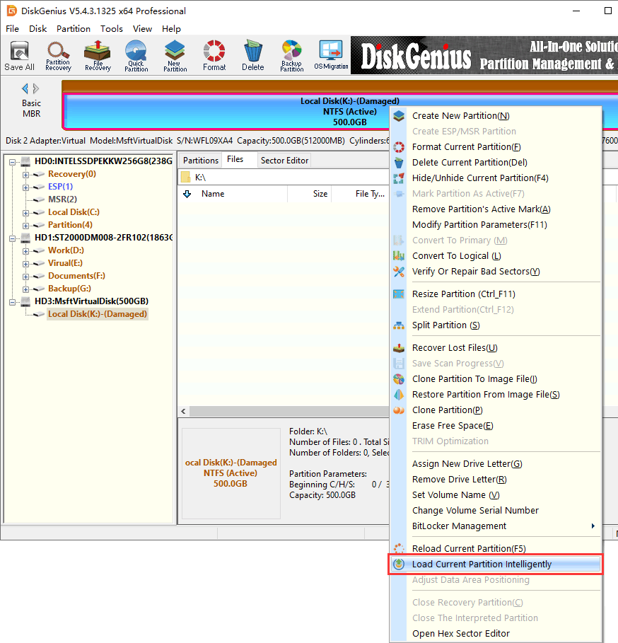 Diskgenius Professional License Key